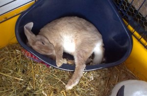 And my third name...